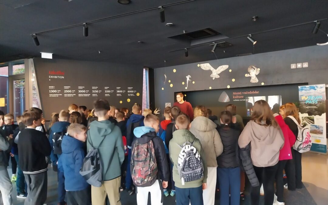 Terenska nastava u Vučedolu