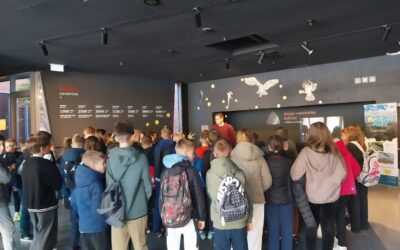 Terenska nastava u Vučedolu